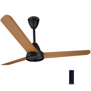 celling fan